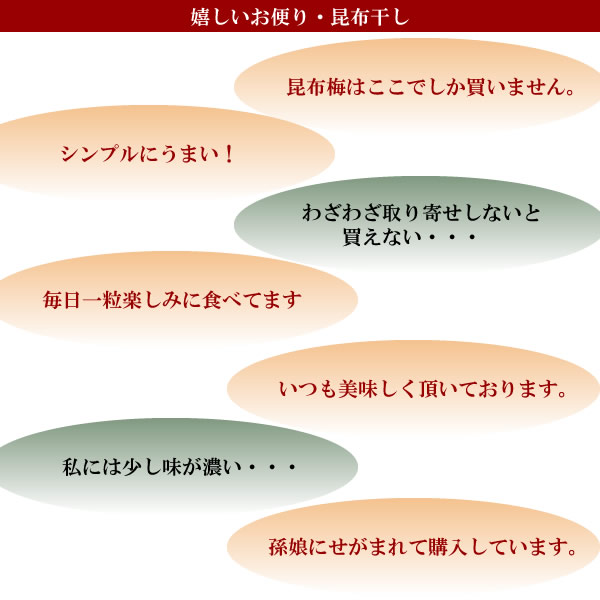 梅干し,梅,青梅,梅肉エキス,紀州南高梅干通販の専門店 昆布梅干し- 深見梅店 -